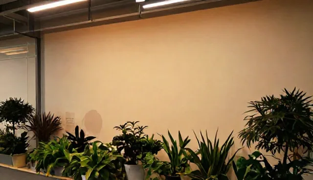 健康管理平台选择应注重网络覆盖与适用场景